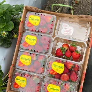 Meet your Posher, Jose luis